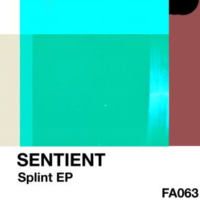 Splint album cover