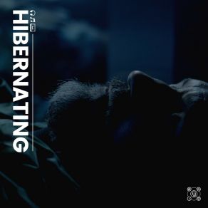 Hibernating album cover