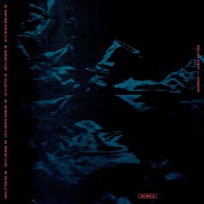 Die Welle album cover
