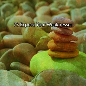 73 Expose Your Weaknesses album cover