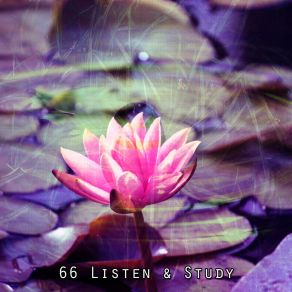 66 Listen & Study album cover