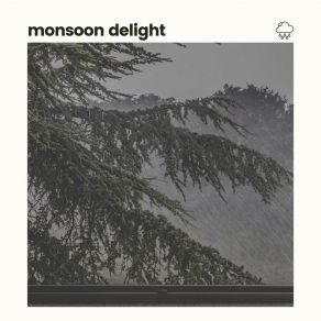 Monsoon Delight album cover