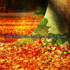 65 One Night Before Exam Extra Research Session album cover