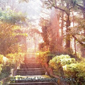 66 Kindred Harmony Tracks album cover