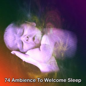 74 Ambience To Welcome Sle album cover