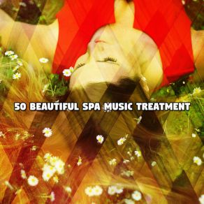 50 Beautiful Spa Music Treatment album cover