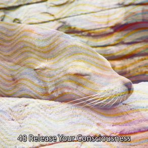 48 Release Your Consciousness album cover