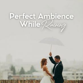 Perfect Ambience While Raining album cover