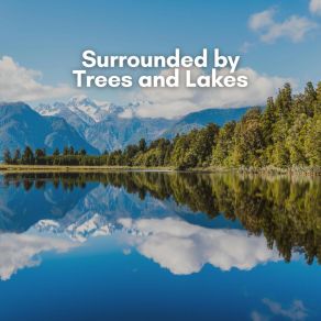 Surrounded By Trees And Lakes album cover