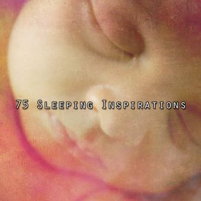 75 Sleeping Inspirations album cover