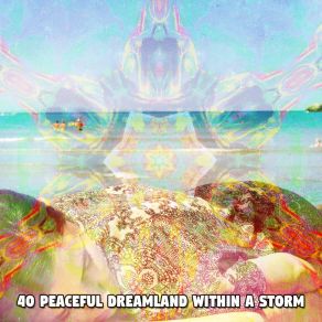 40 Peaceful Dreamland Within A Storm album cover