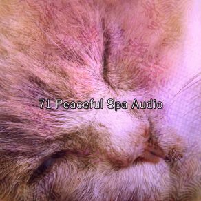 71 Peaceful Spa Audio album cover