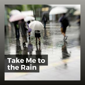 Take Me To The Rain album cover
