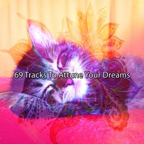 69 Tracks To Attune Your Dreams album cover