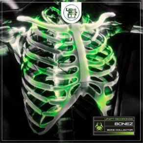 Bone Collector album cover