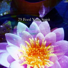 79 Feed Your Spirit album cover