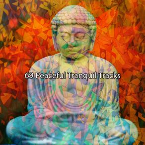 69 Peaceful Tranquil Tracks album cover