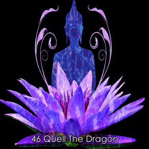 46 Quell The Dragon album cover
