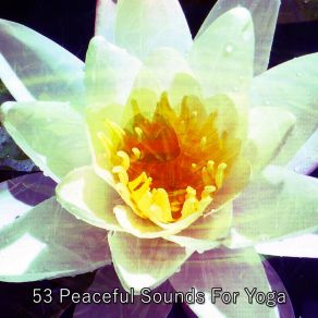 53 Peaceful Sounds For Yoga album cover