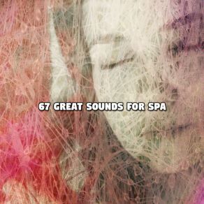 67 Great Sounds For Spa album cover