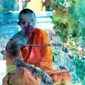 46 Calming Peace Tracks album cover