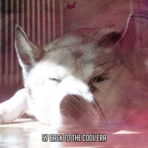57 Back To The Cool Era album cover