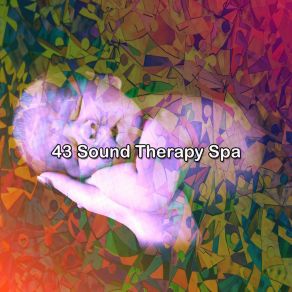 43 Sound Therapy Spa album cover