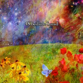 48 Bedside Sound album cover