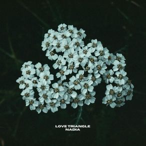 Love Triangle album cover
