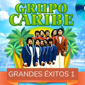 Grandes Éxitos 1 album cover