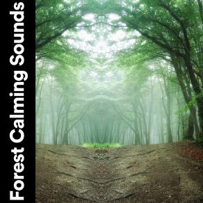 Forest Calming Sounds album cover