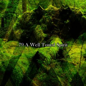 79 A Well Toned Spirit album cover