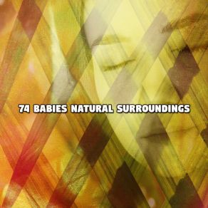 74 Babies Natural Surroundings album cover
