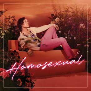 Homosexual album cover