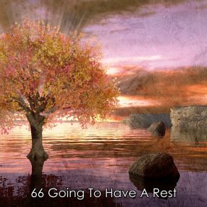 66 Going To Have A Rest album cover