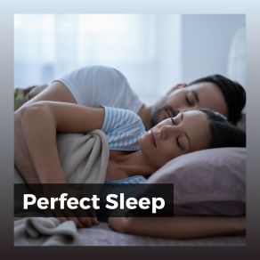 Perfect Sle album cover