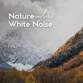 Nature White Noise album cover