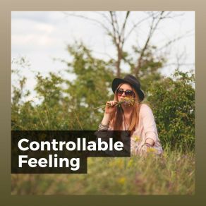 Controllable Feeling album cover