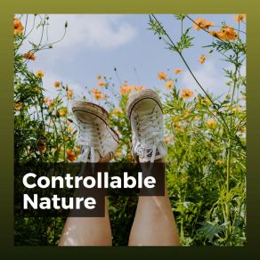 Controllable Nature album cover
