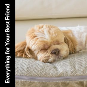 Everything For Your Best Friend album cover