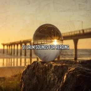 51 Calm Sounds For Reading album cover