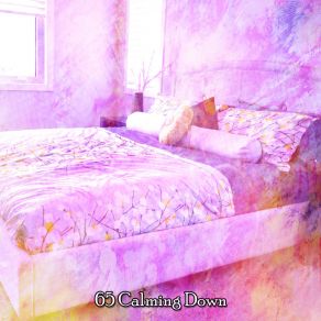 65 Calming Down album cover