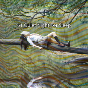 61 Quiet Night For Sle album cover