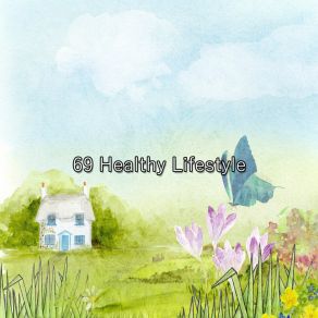 69 Healthy Lifestyle album cover