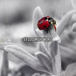 69 Goodnight World album cover