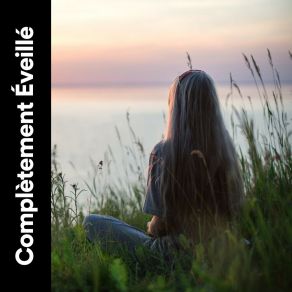 Complètement Éveillé album cover