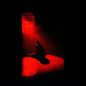 Fallen Angel album cover