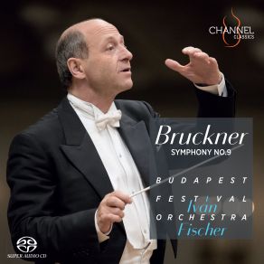 Bruckner: Symphony No. 9 (1894 Version) (Maxi-Single) album cover