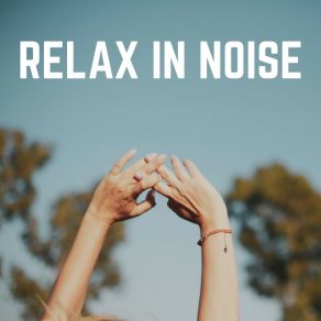 Relax In Noise album cover