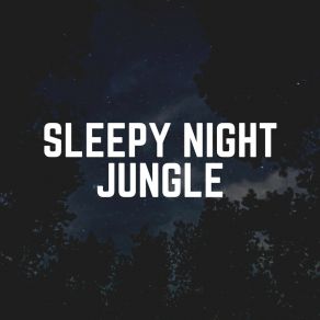 Sleepy Night Jungle album cover